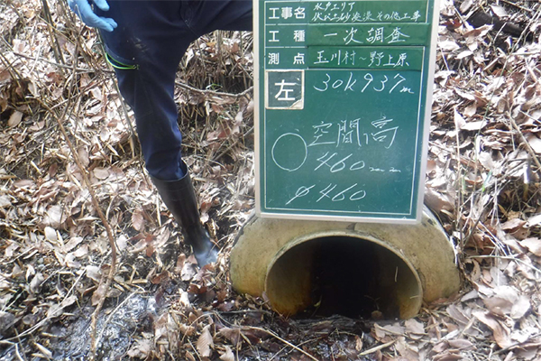調査状況 調査状況